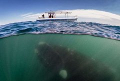 12���񻰼����Ǳˮʤ�أ���Ǳ������?