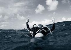 �����Ľ�ѵ��Ϊʱ����