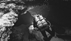 �����Ľ�ѵ����������