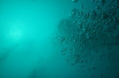 �����Ľ�ѵ��������ɱ