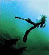 �����Ľ�ѵ������״̬