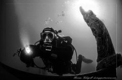 ˮ����Ӱ΢������7��