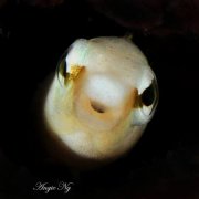 ˮ����Ӱ΢������16��