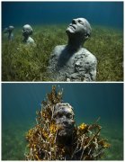 ���ܼҴ��캣������Ʒ��������